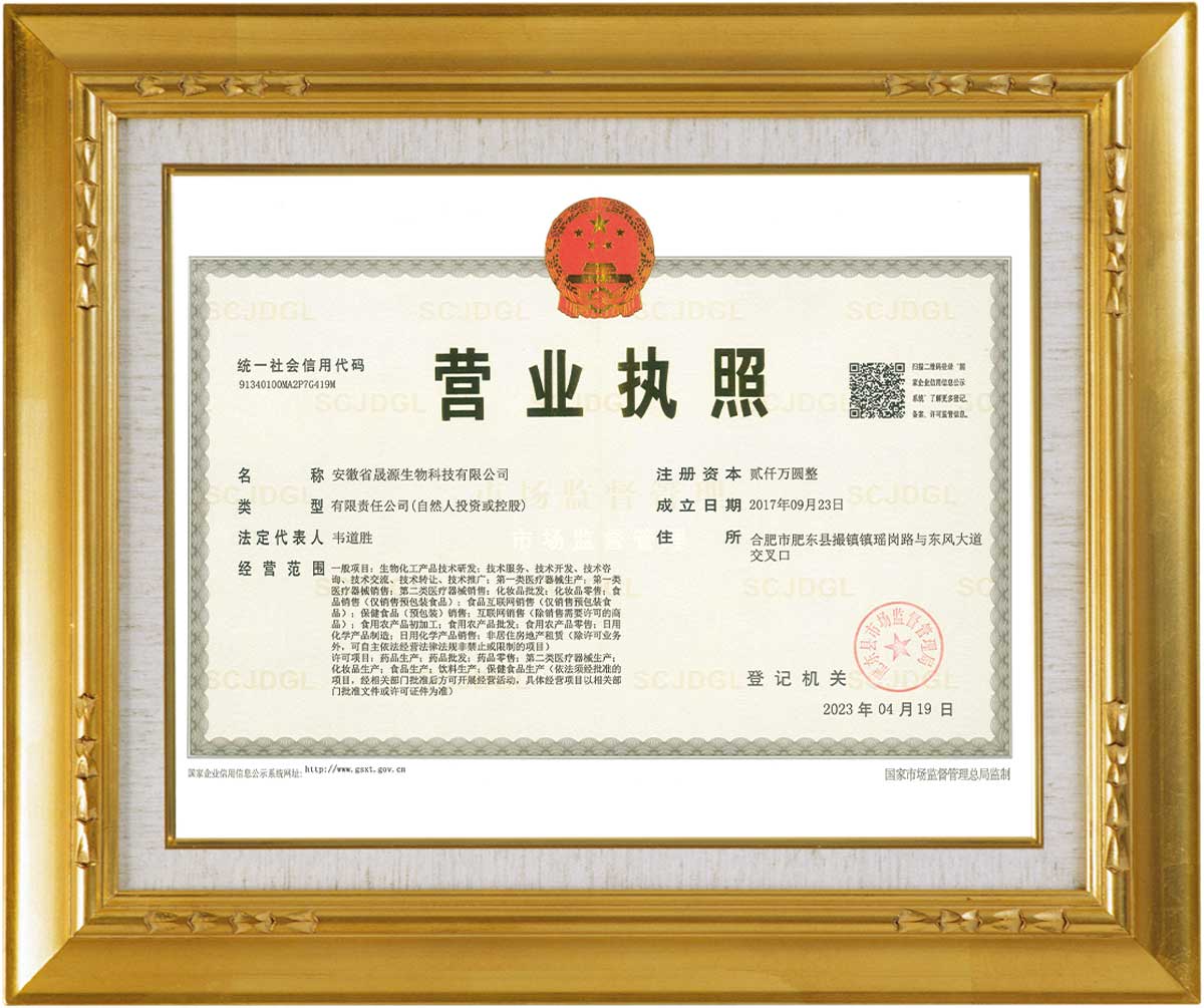 Company250106 1200